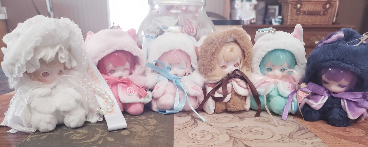 Customer photo review of Antu Cute Petite Series Plush Blind Box