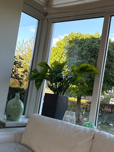 Customer photo review of Monstera Kunstplant 65cm
