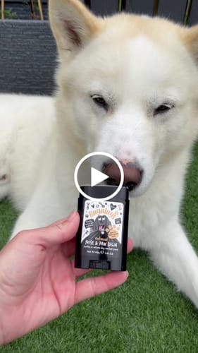 Customer video review of Oatmeal Nose & Paw Balm Stick for Dogs