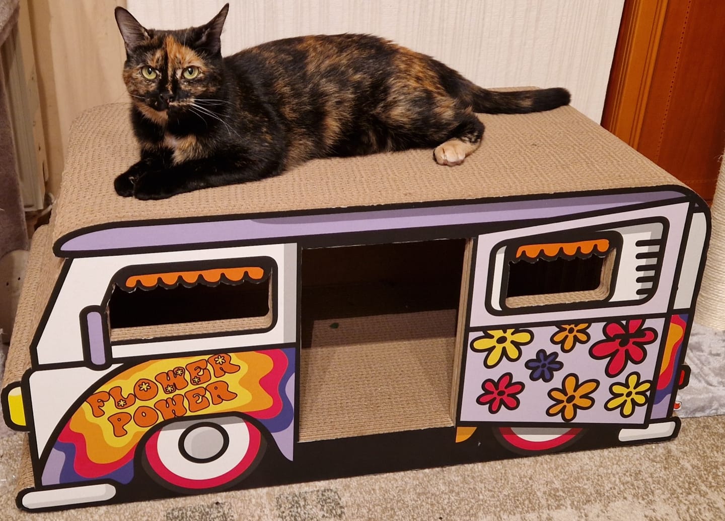 Customer photo review of Hippie-Camper XXL
