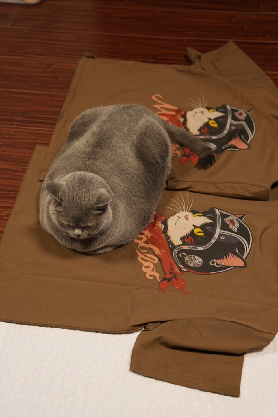 Customer photo review of 「ヘルメットを被った猫」プリント＆KaraKuロゴ刺繡コットンTee