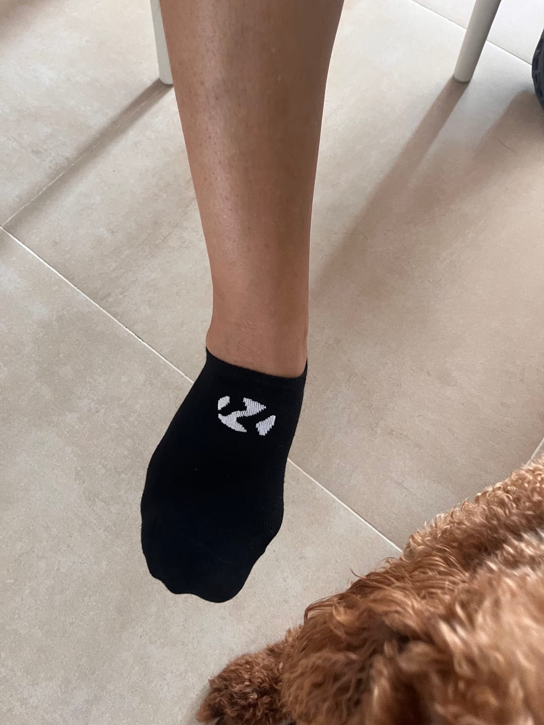 Customer photo review of 6-PACK NO SHOW SOCKS