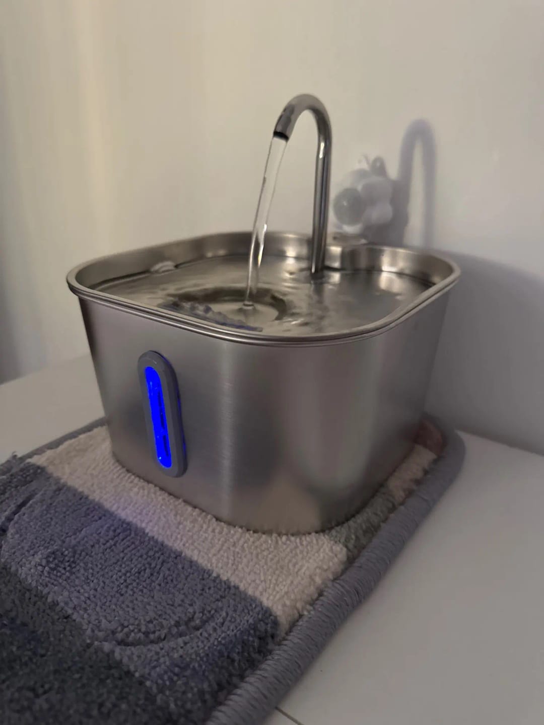 Customer photo review of Fontaine à eau Anti-Bactérienne - Chien & Chat