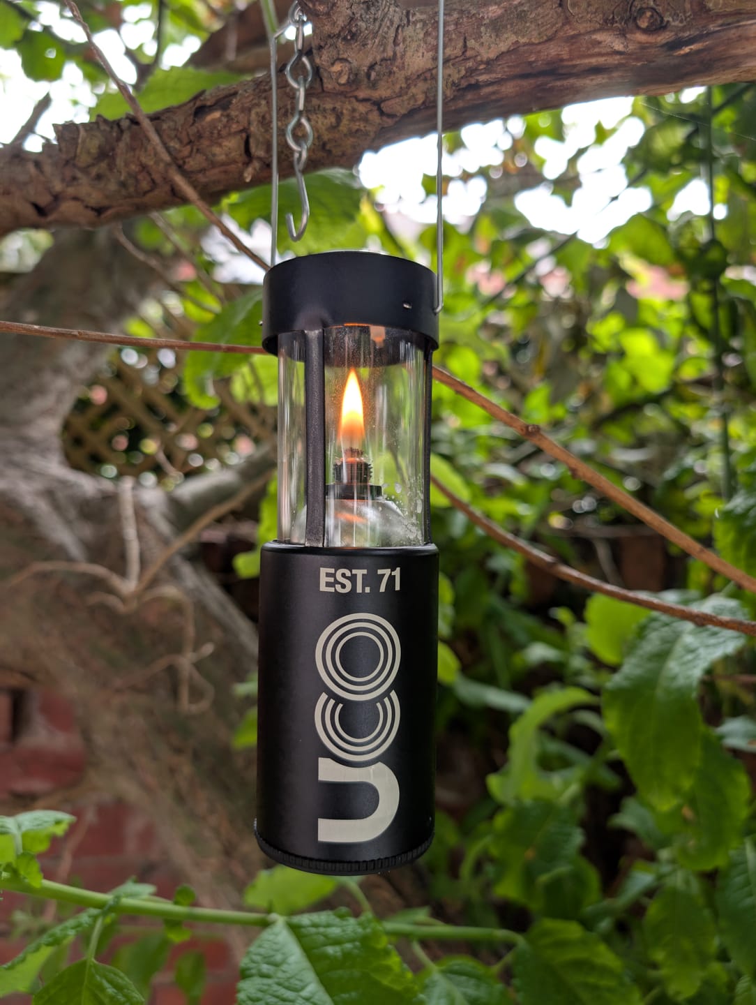 Customer photo review of Oil Inserts for Use with UCO Original Lanterns
