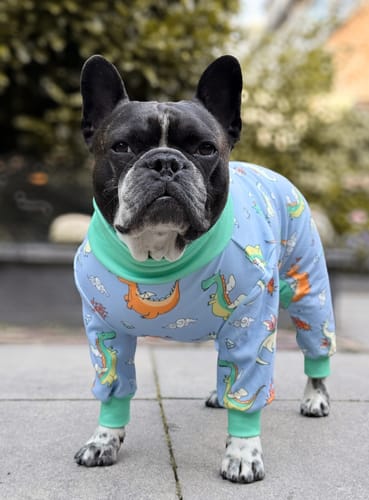 Customer photo review of Dog Pajama - Dragons