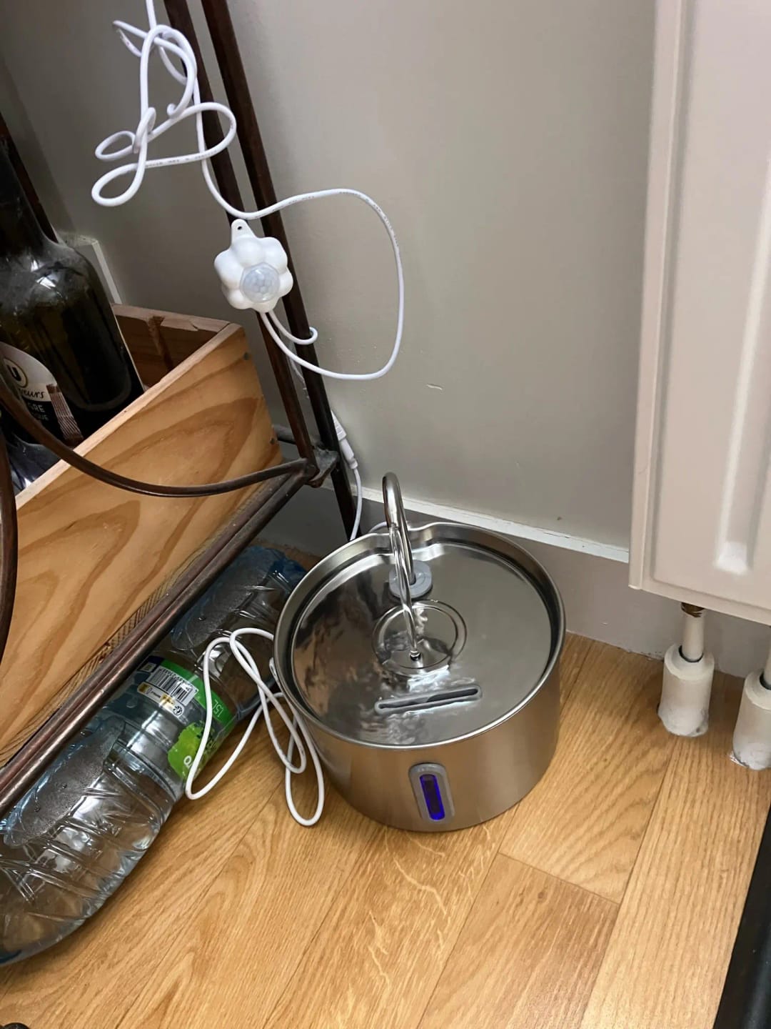 Customer photo review of Fontaine à eau Anti-Bactérienne - Chien & Chat