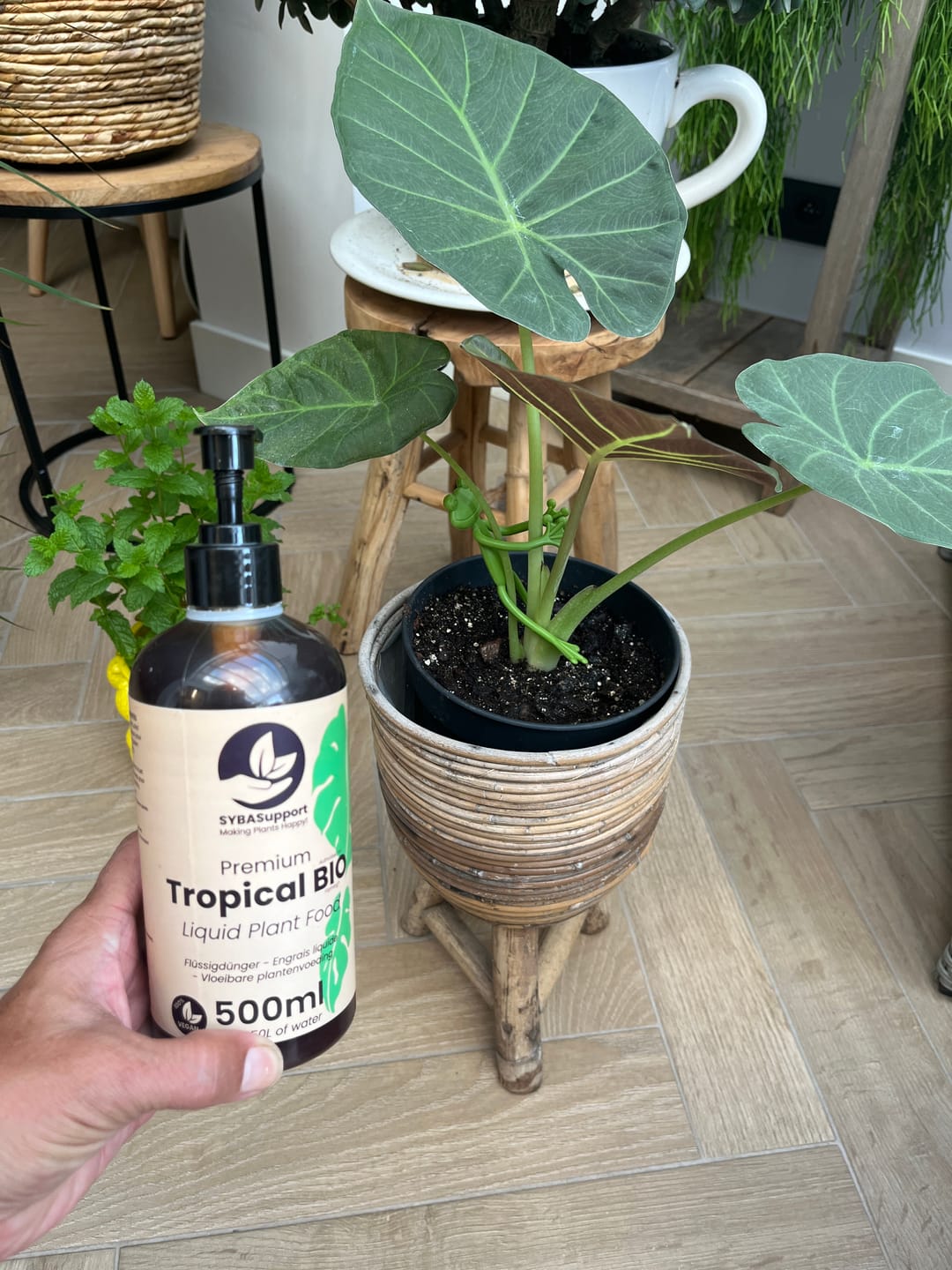 Customer photo review of Tropical BIO Liquid Plant Food