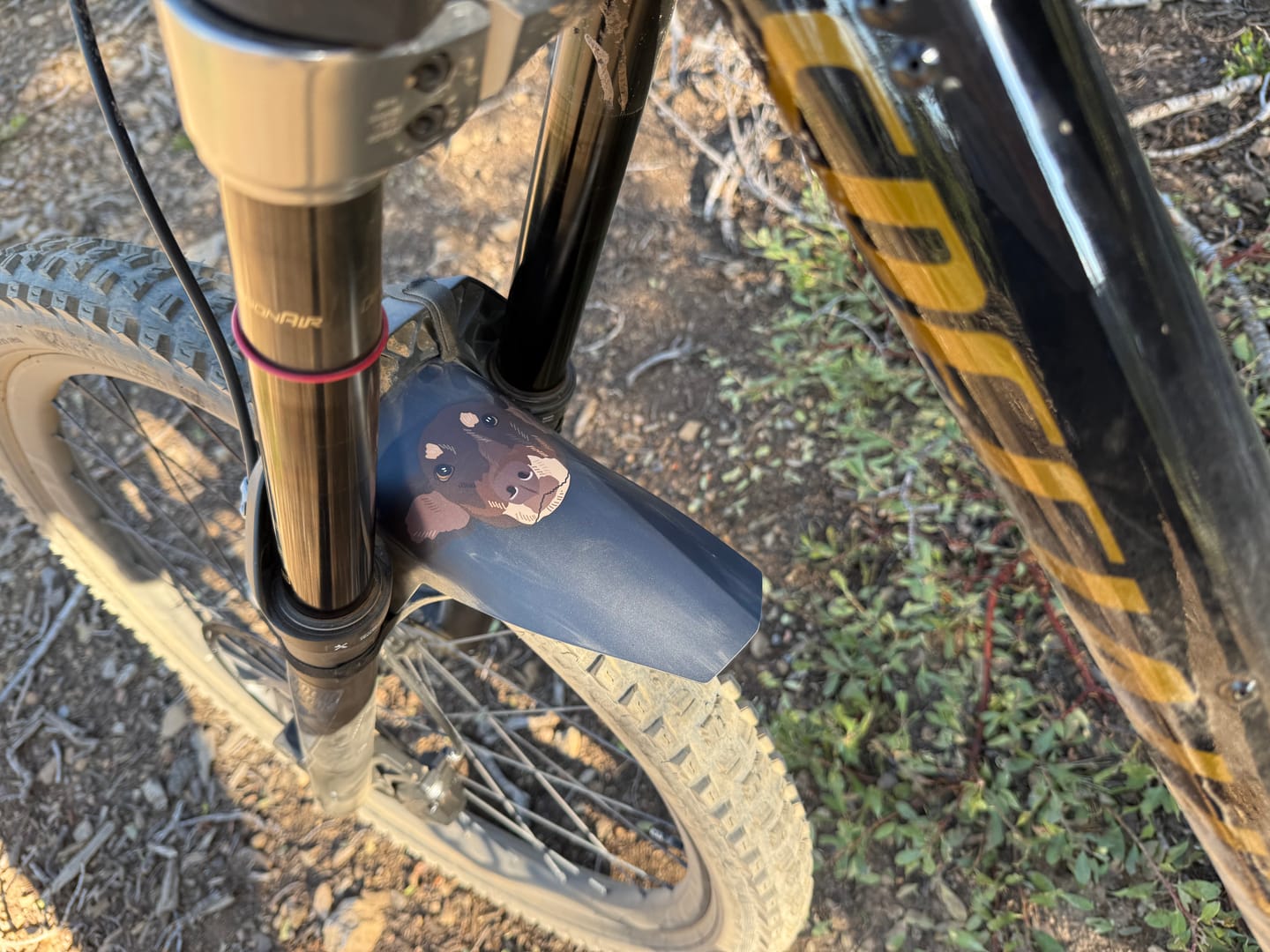 Customer photo review of Custom Fender