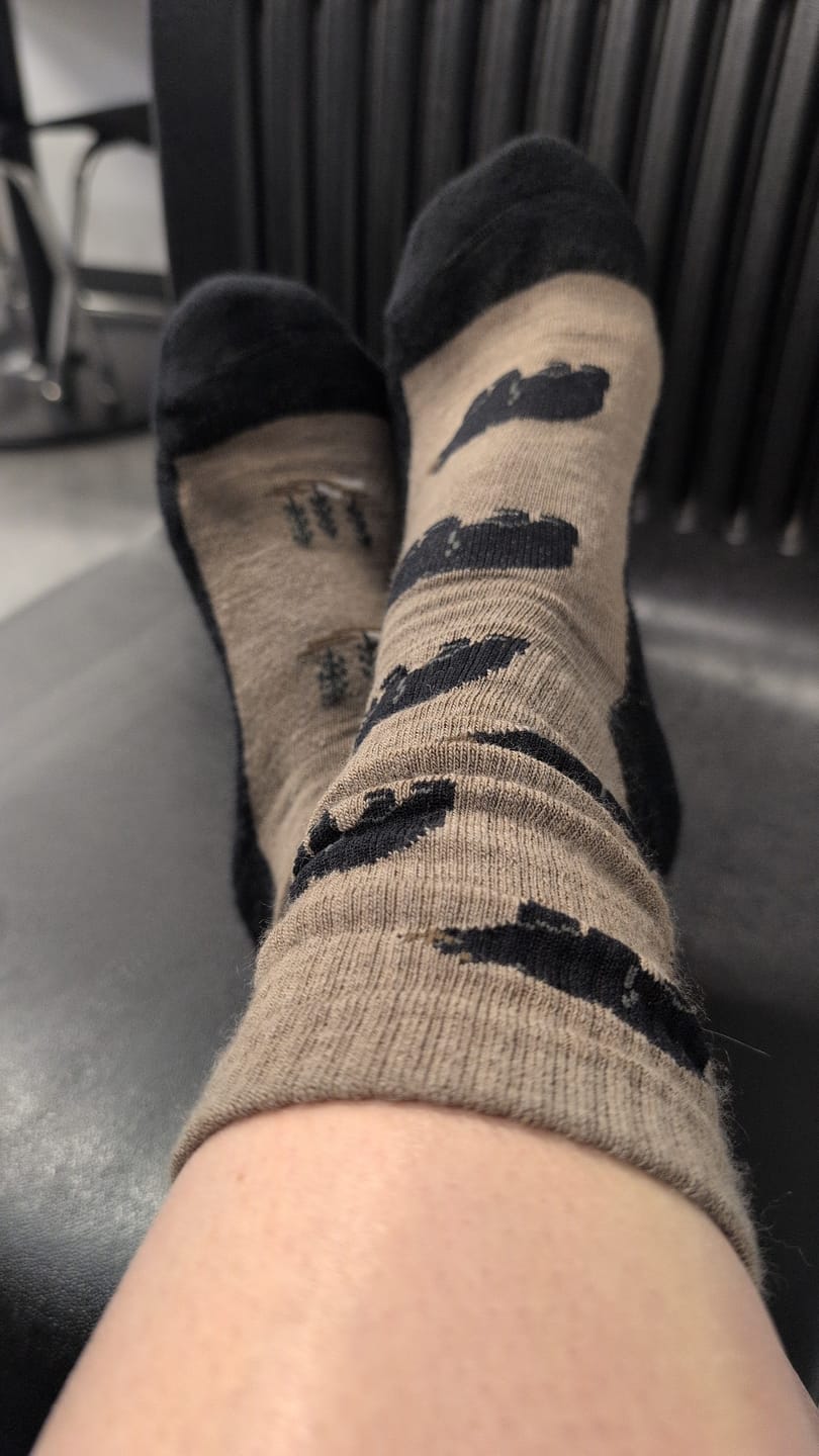 Customer photo review of "Bear and Tree" 70% Merino Wool Socks by Friday Sox Co