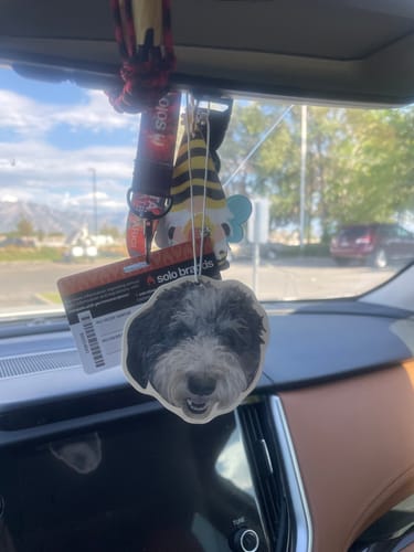 Customer photo review of Custom Air Freshener