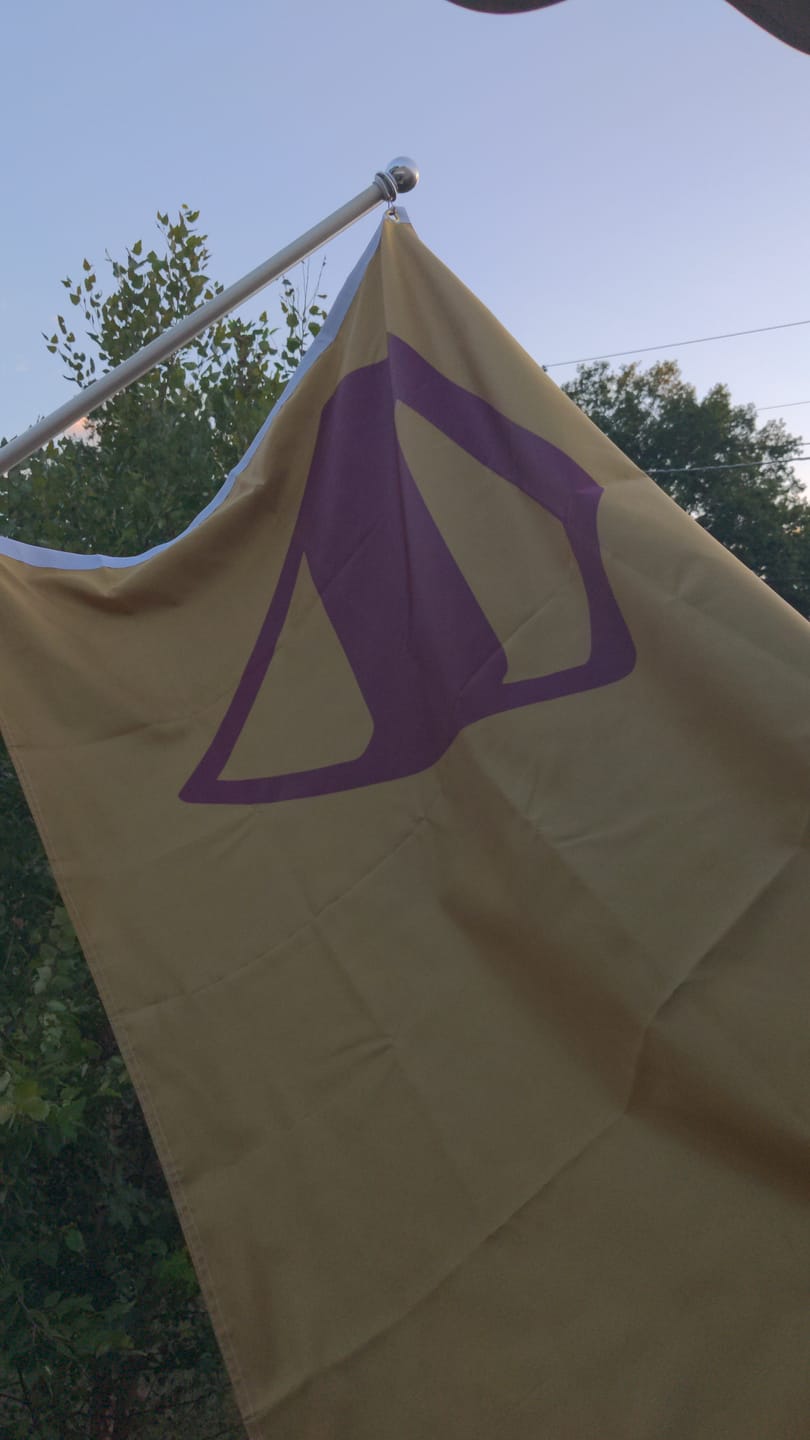 Customer photo review of Custom Standard Flags