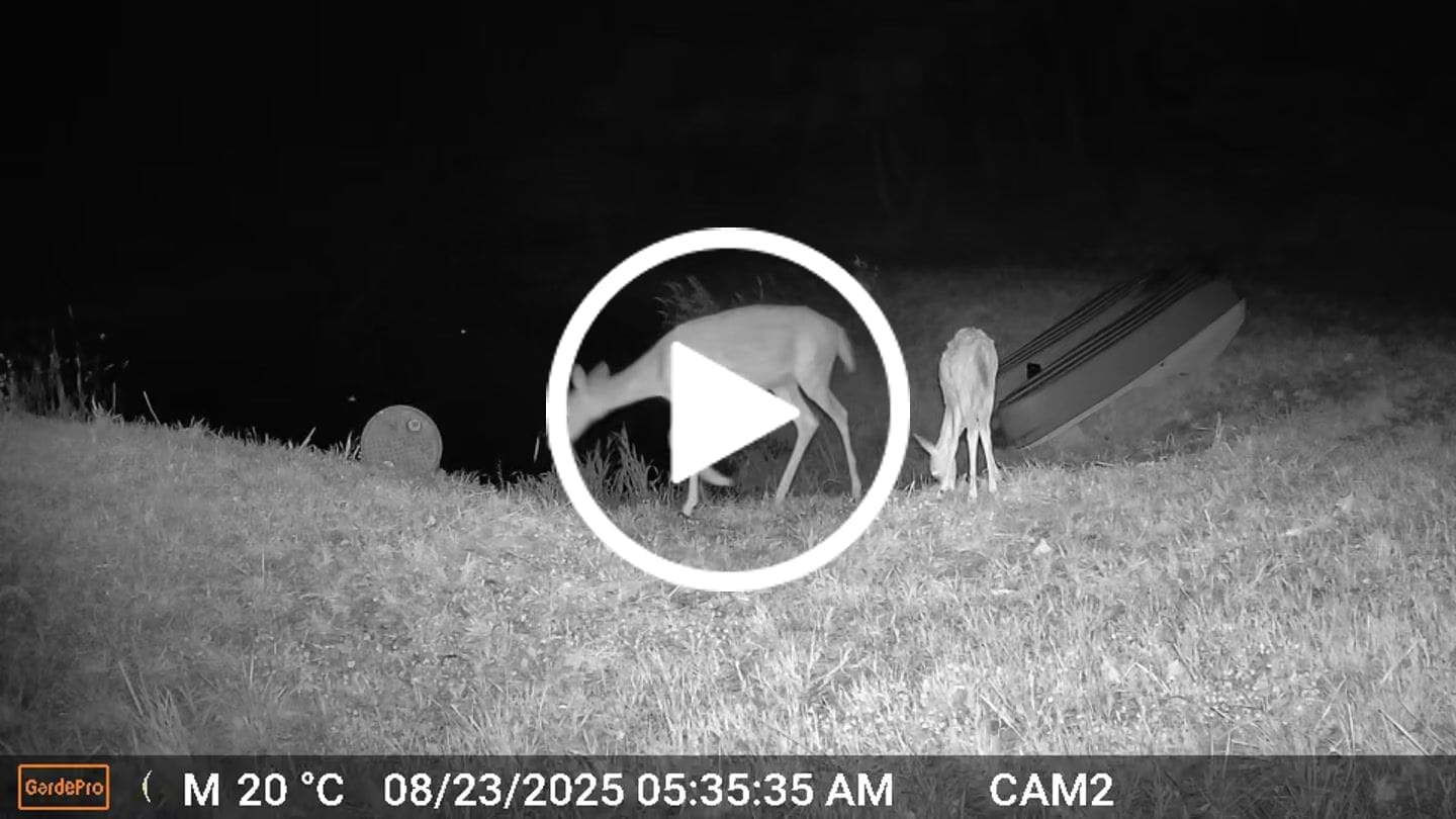 Customer video review of GardePro X66 Pro Cellular Trail Camera
