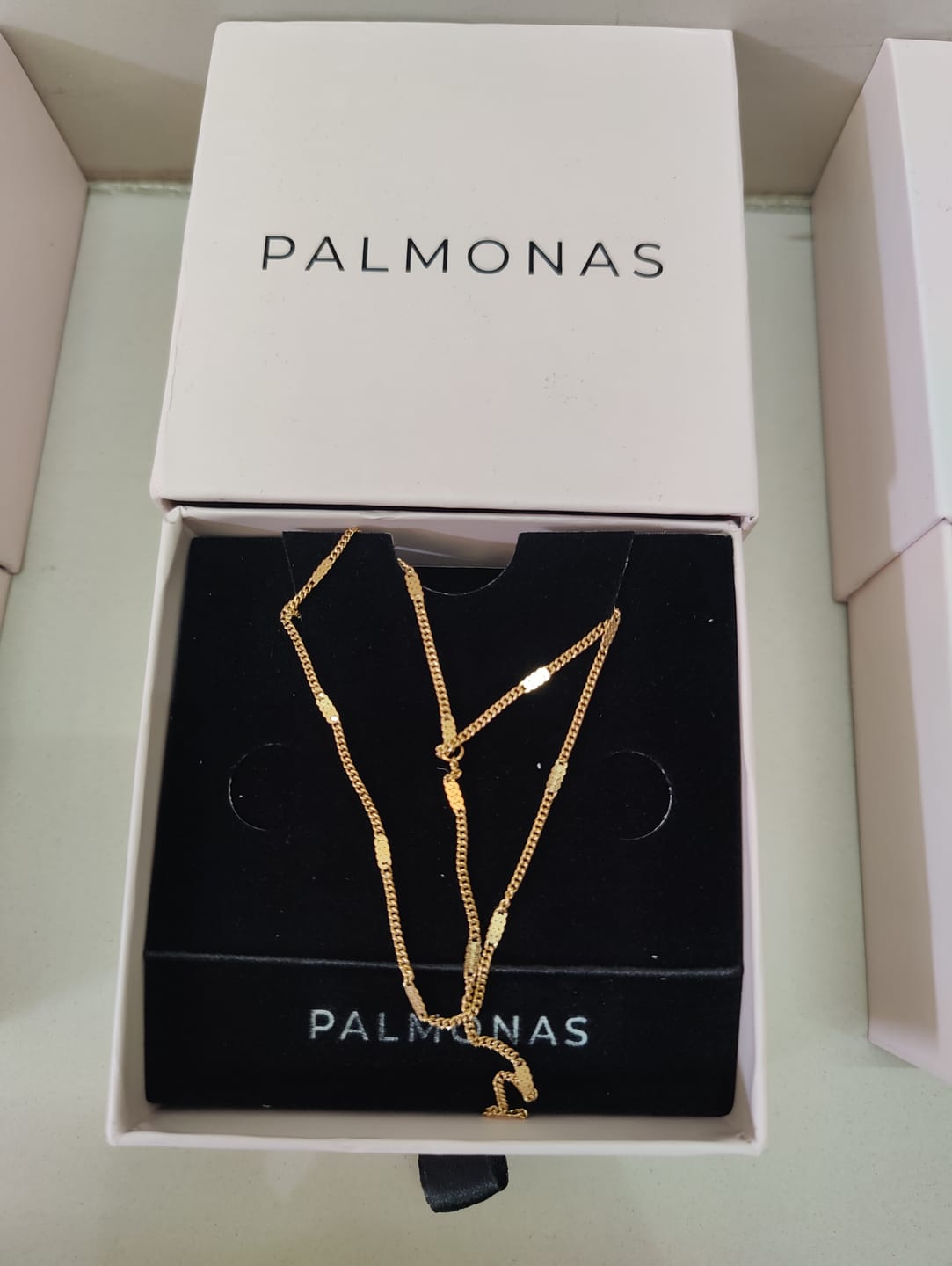 Customer photo review of Chic Layered Necklace