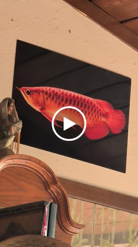 Customer video review of 1. Your Customized Photo