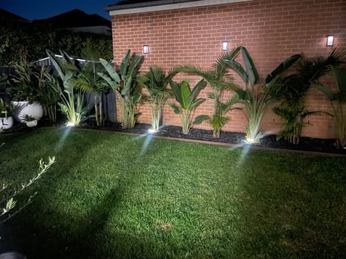 Customer photo review of GardenBrite™ Rust-Proof Solar Ground Light Pack