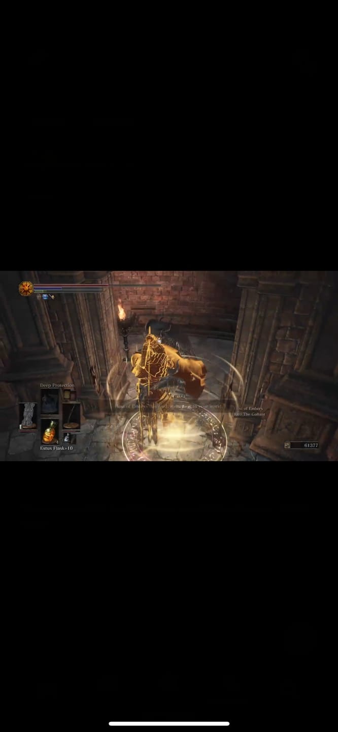 Customer photo review of Dark Souls 3 Items & Souls