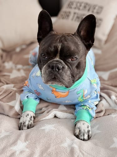Customer photo review of Dog Pajama - Dragons