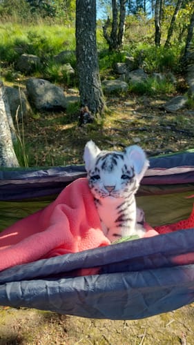 Customer photo review of Hvit Tigerunge Bamse | Hansa Creation