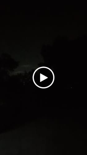 Customer video review of Lady + Cute Cat