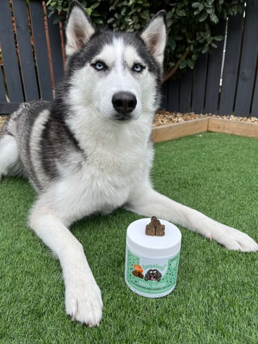 Customer photo review of Anal Gland Supplement Chews for Dogs