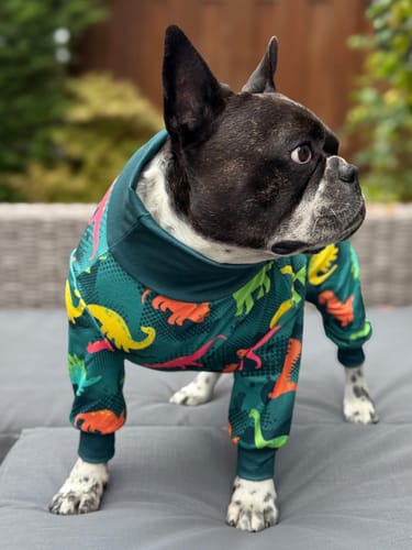 Customer photo review of Dog Pajama - Dinosaurs