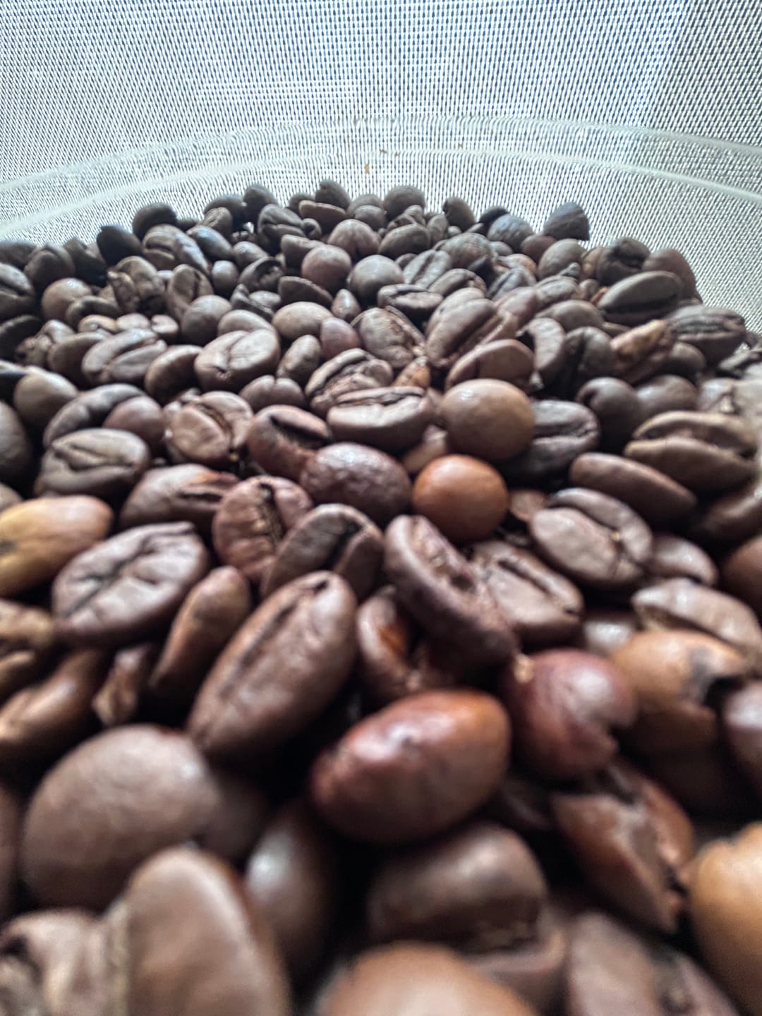 Customer photo review of Pack Lavazza Gusto Forte 1 kg más Il Filtro Classico 1 kg