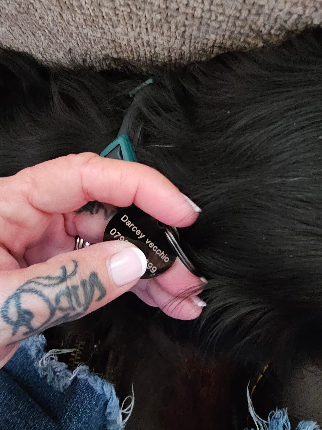 Customer photo review of Dog ID Tag - Rose Gold (With Gift Box)