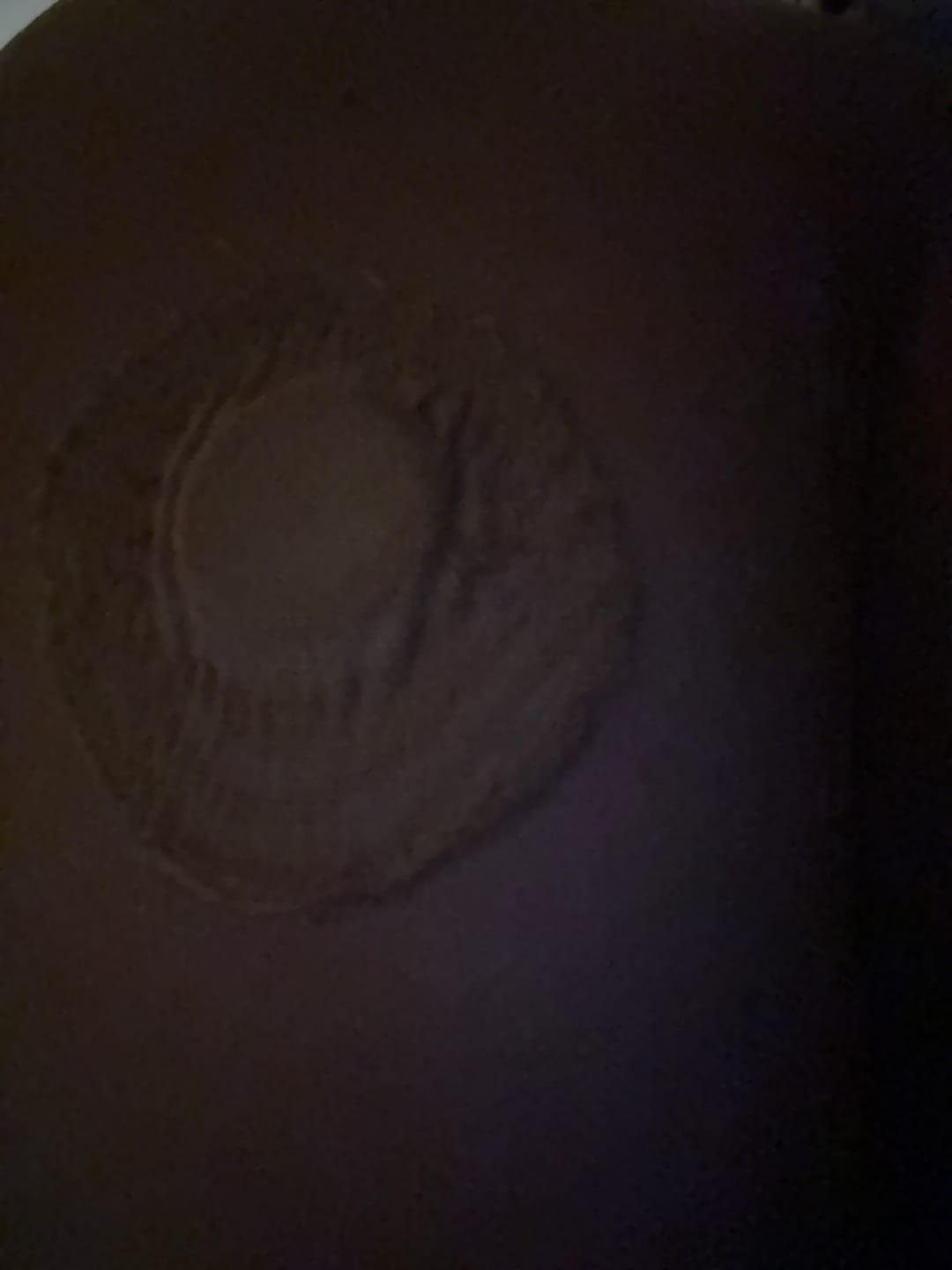 Customer photo review of Skin Grip Original - Libre 3 Adhesive Patches
