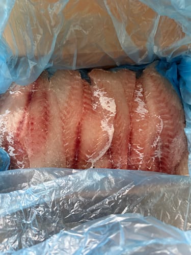 Customer photo review of Fresh Snapper Fillets