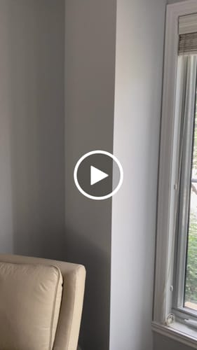 Customer video review of ROSE ONYX CANVAS