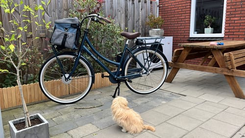Customer photo review of E-Cargo N7