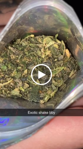 Customer video review of Exotic Shake