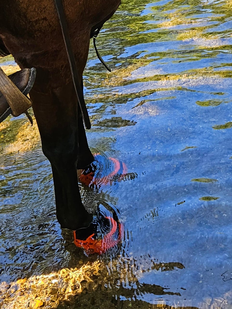 Customer photo review of Renegade® Classic Hoof Boots - Sport Orange