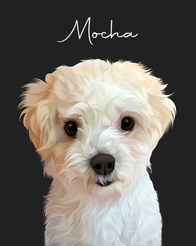 Customer photo review of Pet Art Canvas Wrap