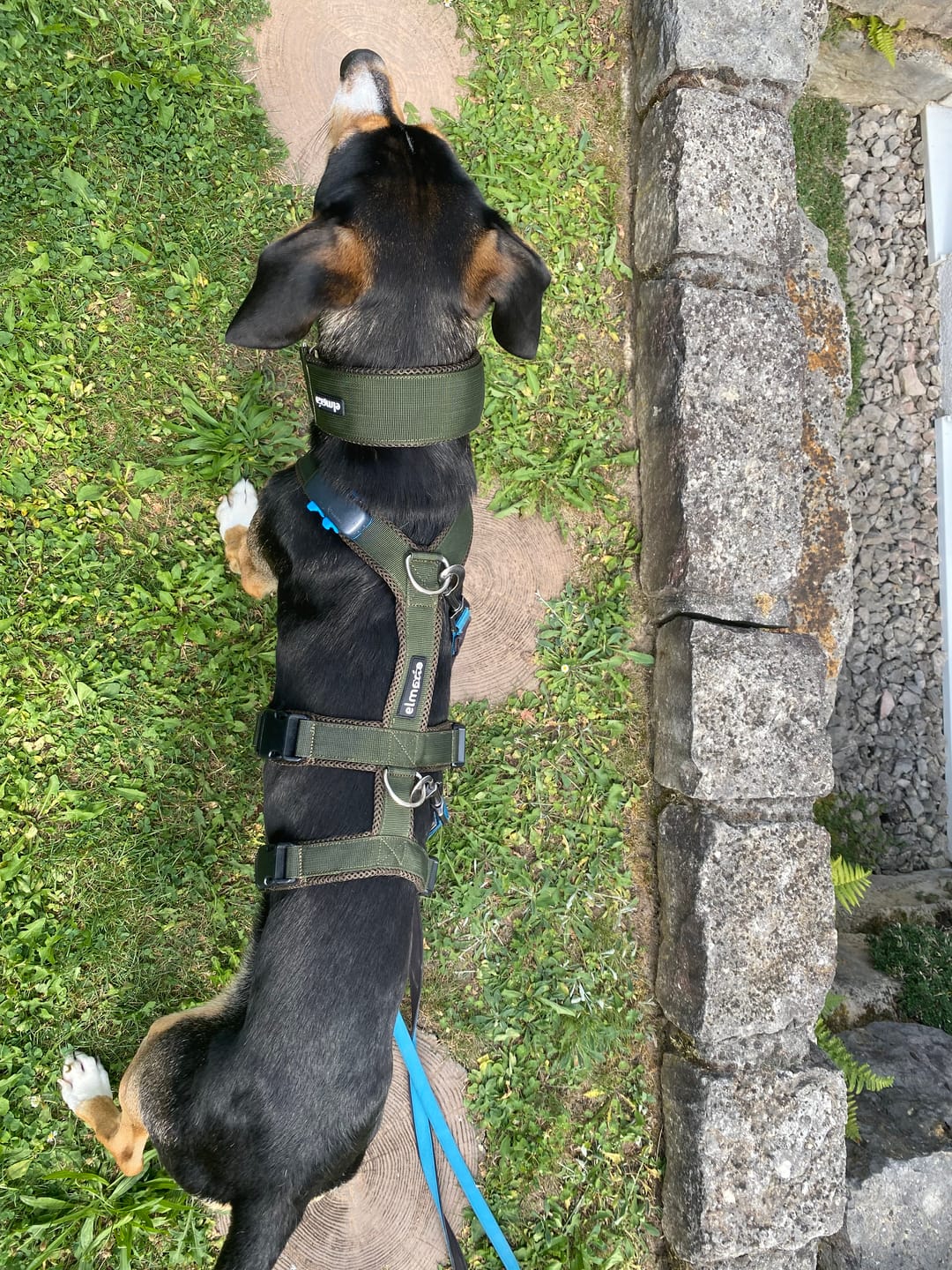 Customer photo review of Sicherheitsgeschirr FUN "Mountain Green"