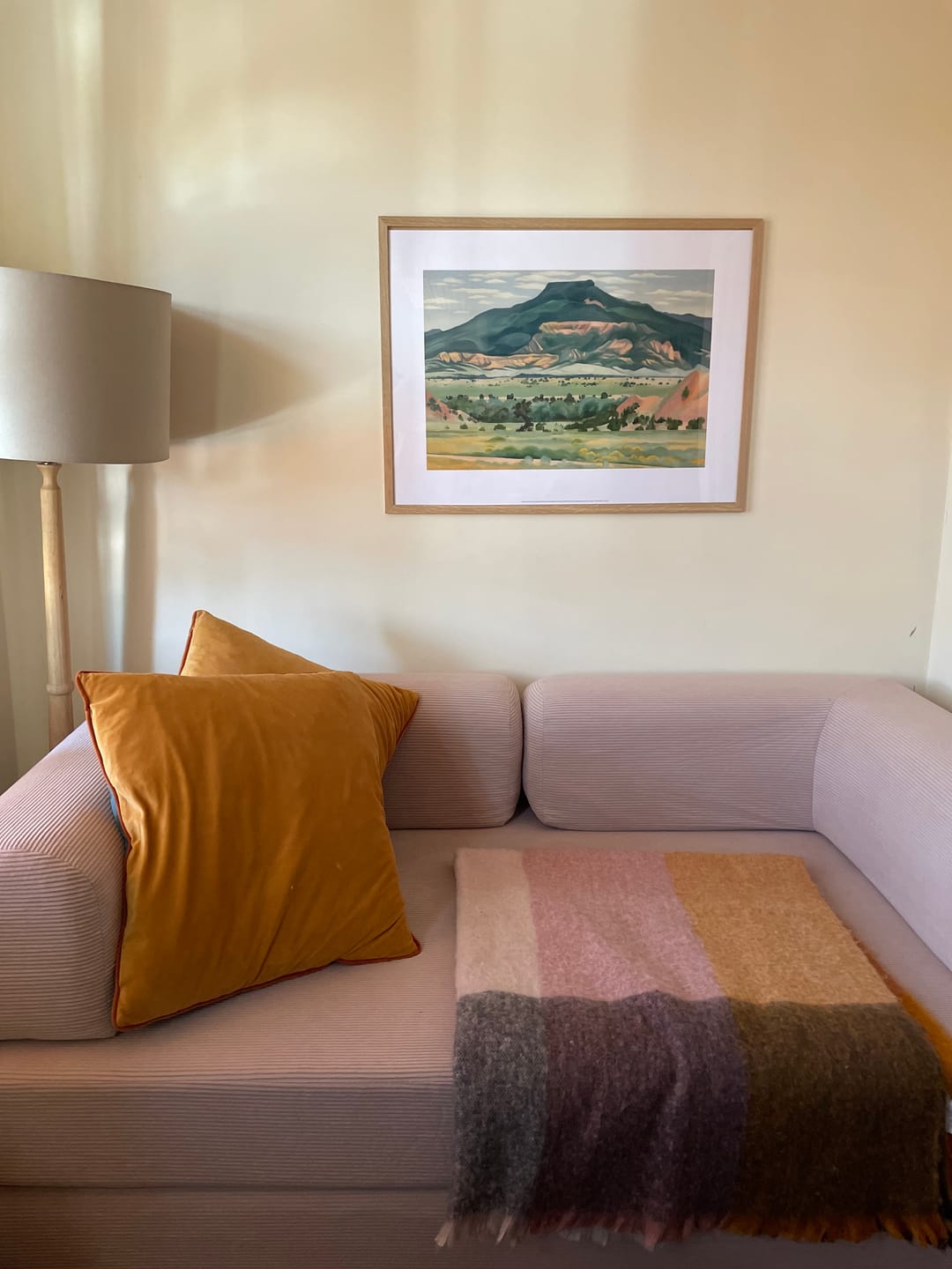 Customer photo review of VacuumLuxe Compression Sofa