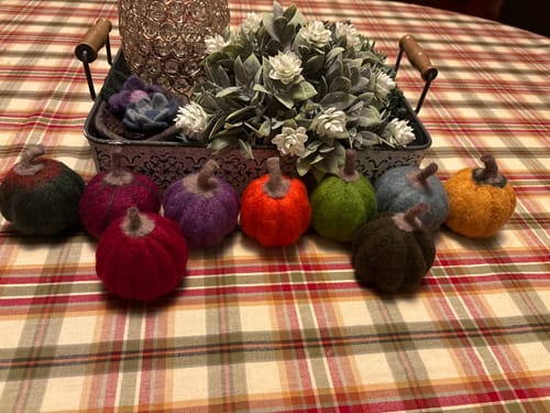 Customer photo review of Pumpkin Blanks - 6 pack