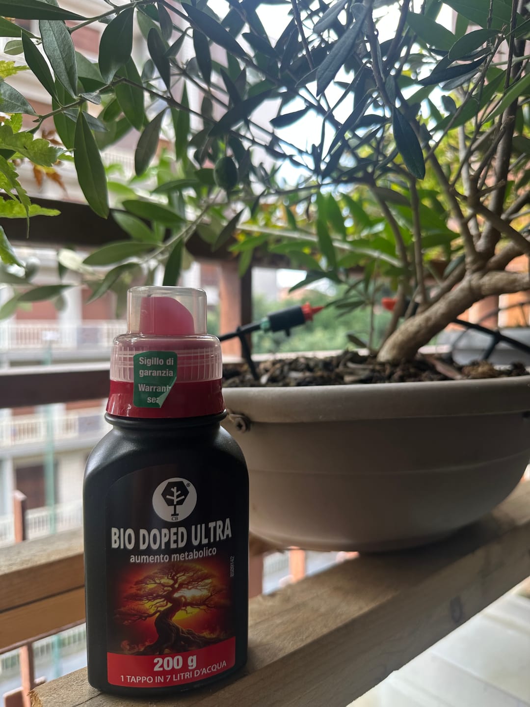 Customer photo review of BIO DOPED ULTRA CB® (Aumento Metabolico)