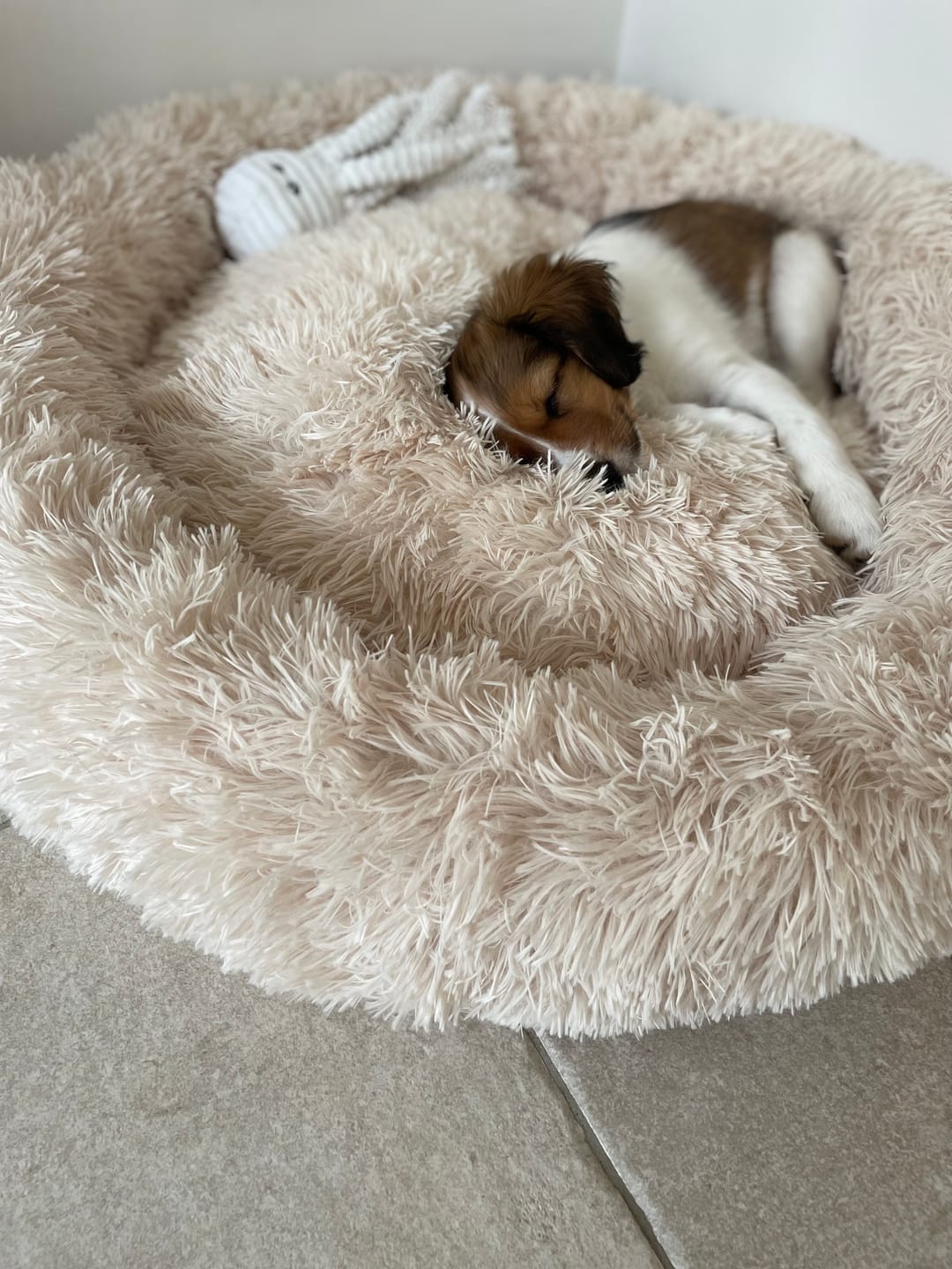 Customer photo review of Pet Perfect Donutmand