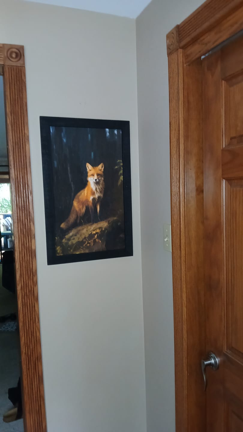 Customer photo review of Forest Fox - Framed Art