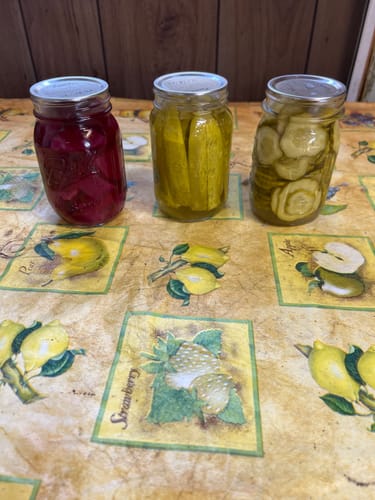 Albertena B. review of Mason Genie® Vacuum Sealer Kit image 1 out of 1