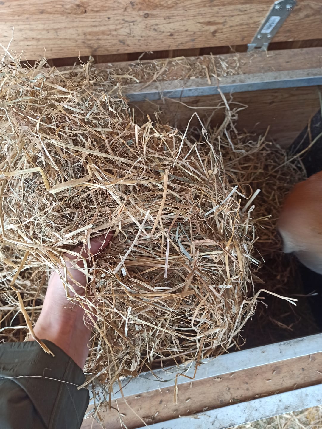 Customer photo review of Lollenstein Wiesenheulage 1. Schnitt
