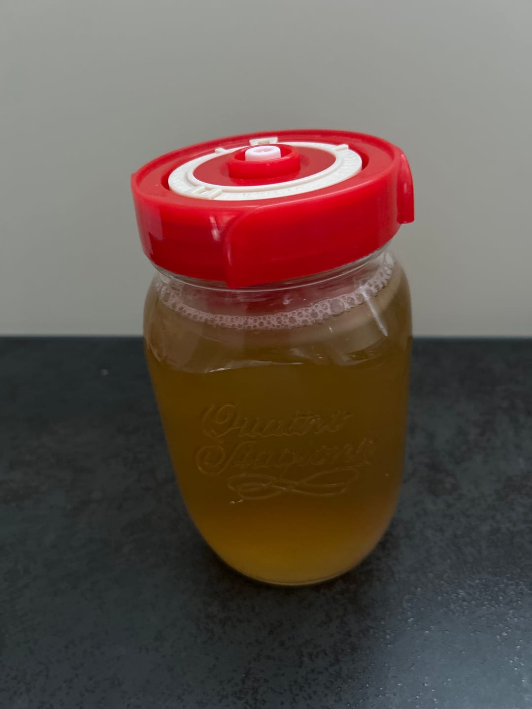 Customer photo review of Kombucha-Meisterkit: BIO Scoby & Starterflüssigkeit