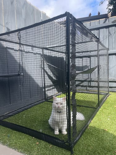 Customer photo review of The Cat Cabana Cat Enclosure 2.2m