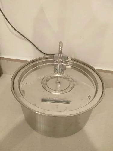 Customer photo review of Fontaine à eau Anti-Bactérienne - Chien & Chat