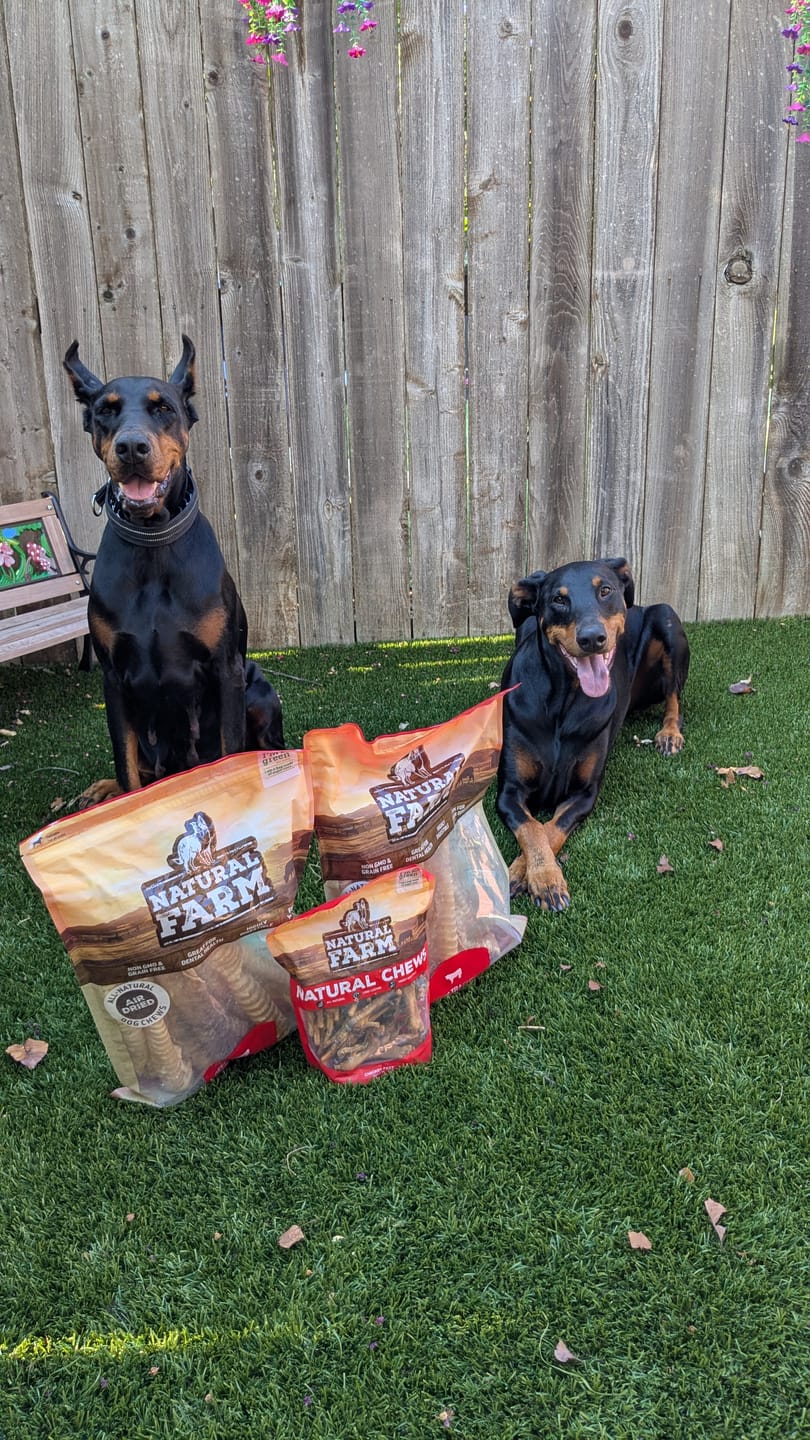 Customer photo review of 12 Inch Beef Trachea