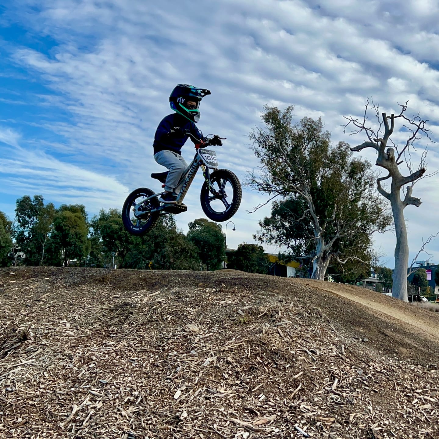 Customer photo review of 350W TAKANI  Electric Balance Bike 16'' - TK1652-RS Pearl Grey