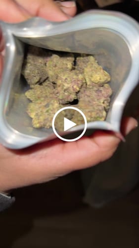 Customer video review of Thin Mint Cookies - 28 Grams - Hybrid