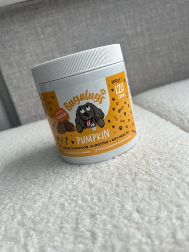 Customer photo review of Pumpkin Supplement Chews