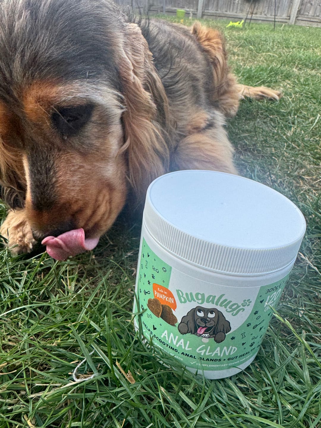 Customer photo review of Anal Gland Supplement Chews